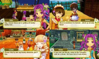 Story of Seasons: Trio of Towns 3DS