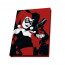 DC COMICS - Pck Mug340ml + KeyringPVC + Notebook "Harley Quinn" - Bögre, Kulcstartó, Jegyzetfüzet - Abystyle thumbnail
