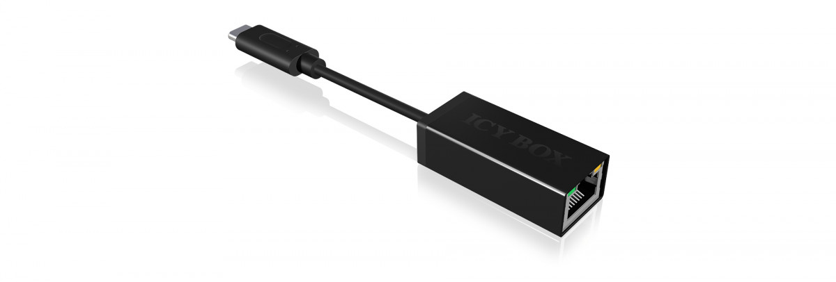 NET-PCI RaidSonic IB-AC535-C hálózati kártya Ethernet PC