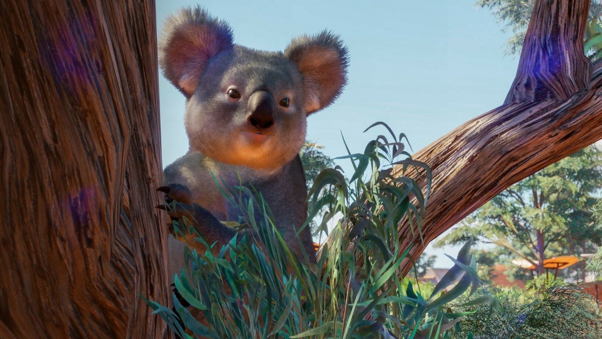Planet Zoo: Australia Pack (DLC) (Letölthető) PC