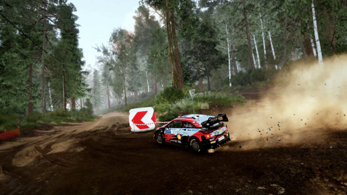 WRC 10 FIA World Rally Championship - Deluxe Edition (Letölthető) PC