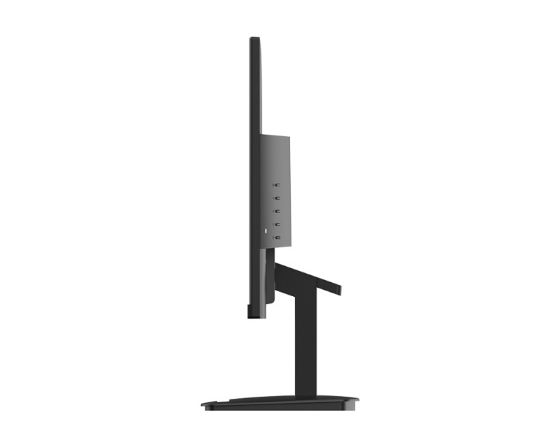 MSI Monitor Business PRO MP2412 23,8" FHD, 1920x1080, IPS, 100Hz, 4000:1 CR, 300cd/m2, 1ms, HDMI,  DP, Black PC