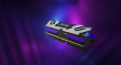KINGSTON FURY Memória DDR5 96GB 6000MT/s CL32 DIMM (Kit of 2) Renegade RGB XMP thumbnail