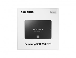 Samsung 750 EVO 2.5" 120GB SATA 3 MZ-750120BW PC