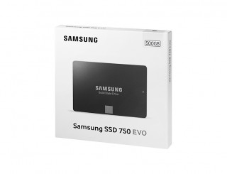 Samsung 750 EVO 2.5" 500GB SATA 3 MZ-750500BW PC