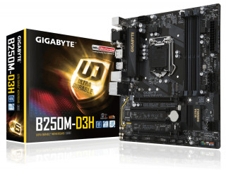 GIGABYTE 1151 GA-B250M-D3H (GA-B250M-D3H) PC