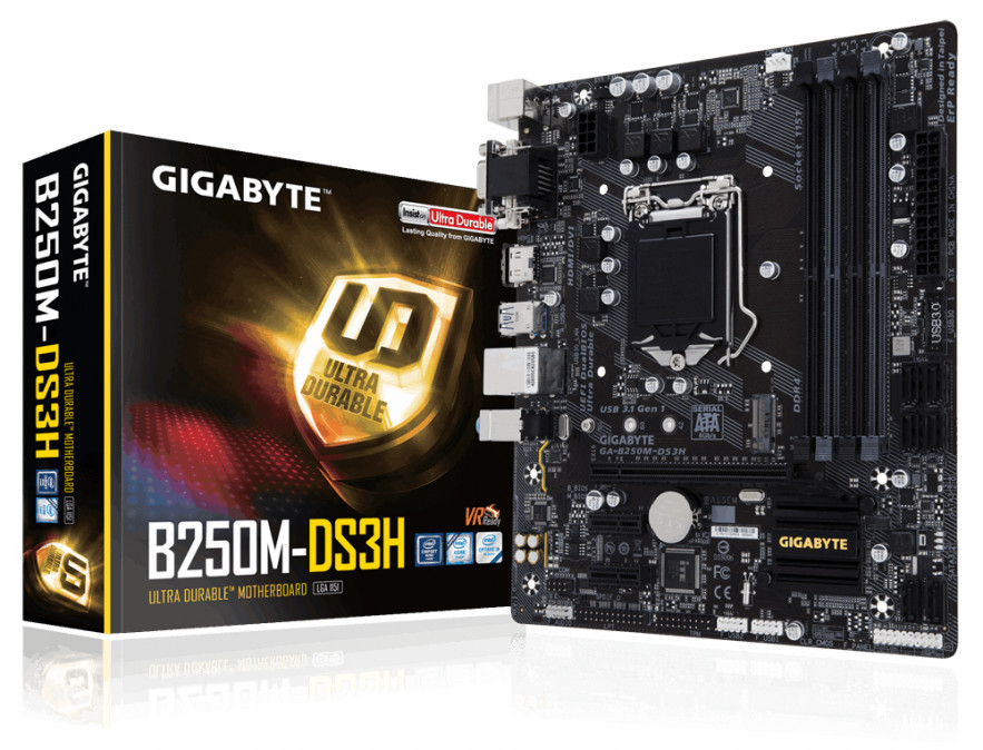 GIGABYTE 1151 GA-B250M-DS3H (GA-B250M-DS3H) PC