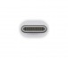 Apple Thunderbolt 3 –>  Thunderbolt 2 adapter thumbnail