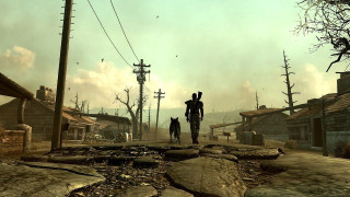 Fallout 3 Game Of The Year Edition (Letölthető) PC