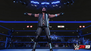 WWE 2K19 Deluxe (PC) Letölthető PC