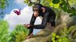 Zoo Tycoon: Ultimate Animal Collection (Letölthető) thumbnail