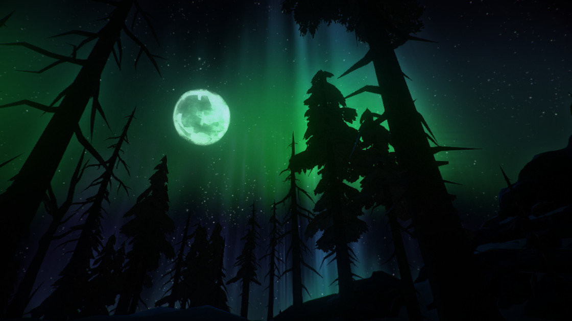 The Long Dark (Letölthető) PC