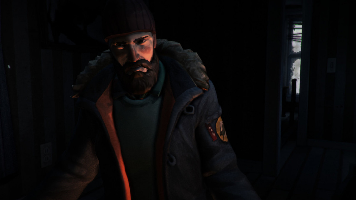 The Long Dark (Letölthető) PC