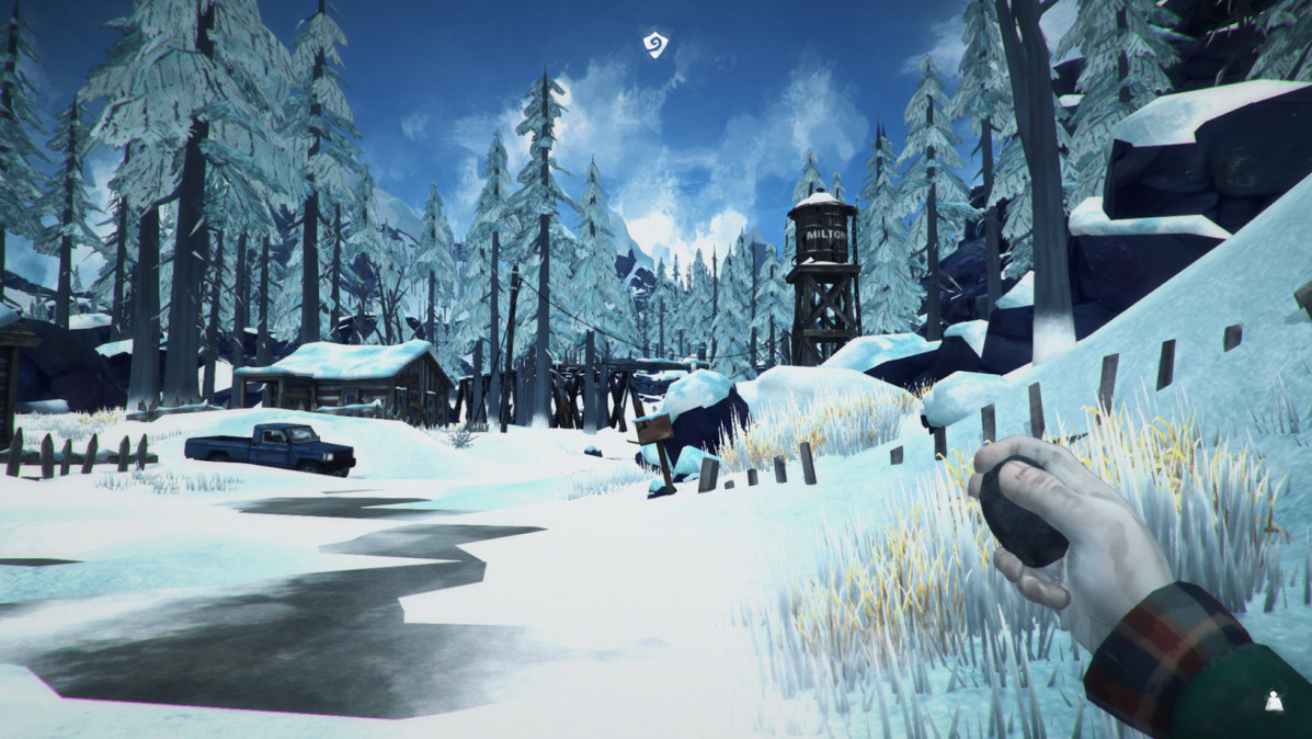 The Long Dark (Letölthető) PC