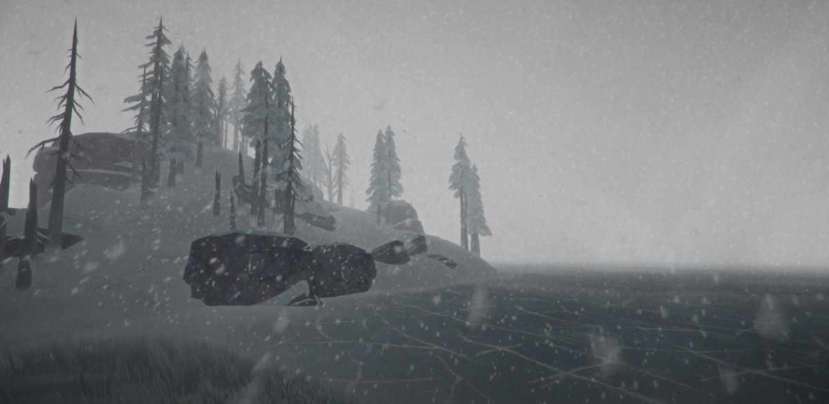 The Long Dark (Letölthető) PC
