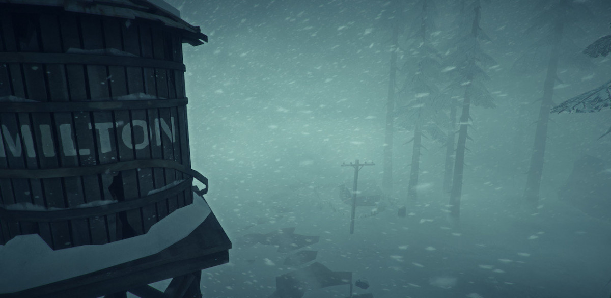 The Long Dark (Letölthető) PC