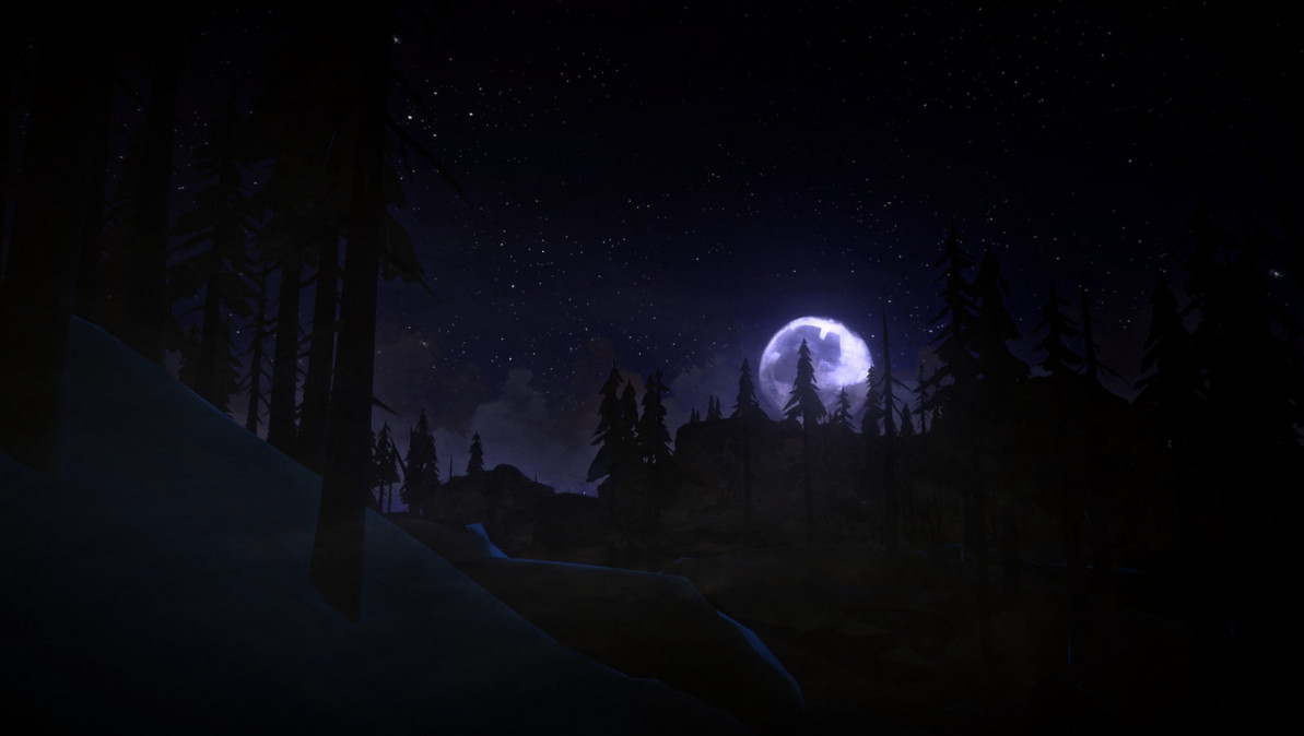 The Long Dark (Letölthető) PC