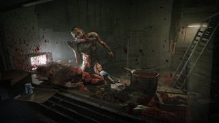 Outlast: Whistleblower DLC (PC) Steam (Letölthető) PC