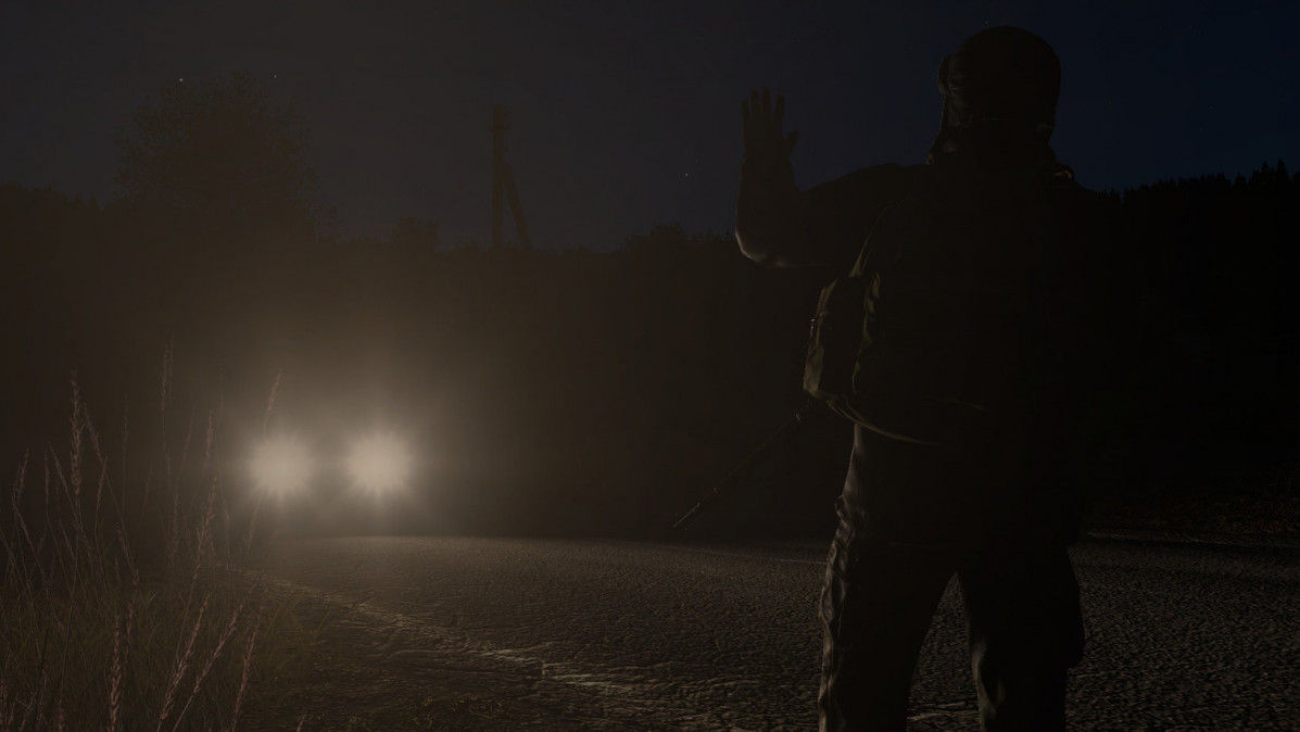 DayZ (Letölthető) PC