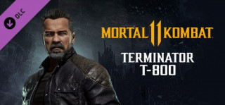 Mortal Kombat 11 Terminator T-800 (Steam kulcs) (Letölthető) PC