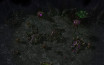 StarCraft II Heart of the Swarm (Letölthető) thumbnail