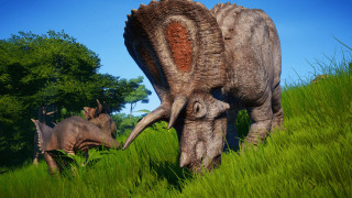 Jurassic World Evolution (Letölthető) PC