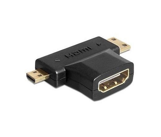 DeLock Adapter HDMI-A female > HDMI-C + HDMI-D male PC