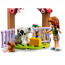 LEGO Friends Autumn boci pajtája (42607) thumbnail
