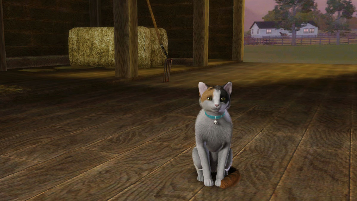 The Sims 3 Házi kedvenc (Pets) PC