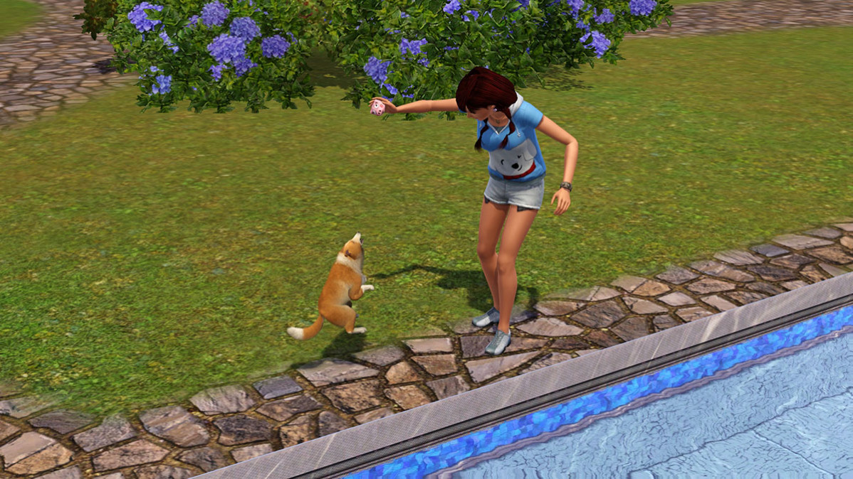 The Sims 3 Házi kedvenc (Pets) PC