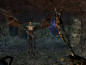 The Elder Scrolls III (3) Morrowind Game of the Year Edition thumbnail