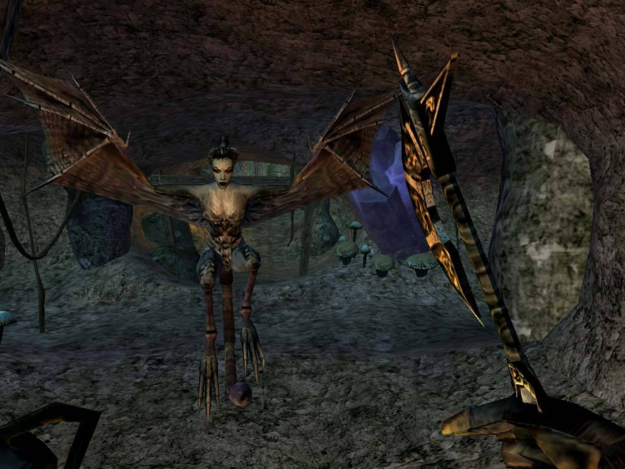 The Elder Scrolls III (3) Morrowind Game of the Year Edition PC