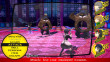 Persona 4: Golden - PSVita thumbnail