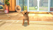 PlayStation Vita Pets - PSVita thumbnail