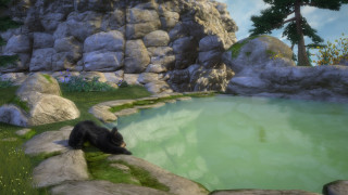 Kinectimals Now with Bears (Kinect) Xbox 360