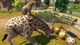 Zoo Tycoon (Kinect támogatással) Xbox One