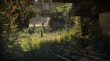 Destiny 2