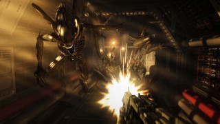 Aliens vs. Predator Collection (PC) DIGITÁLIS PC