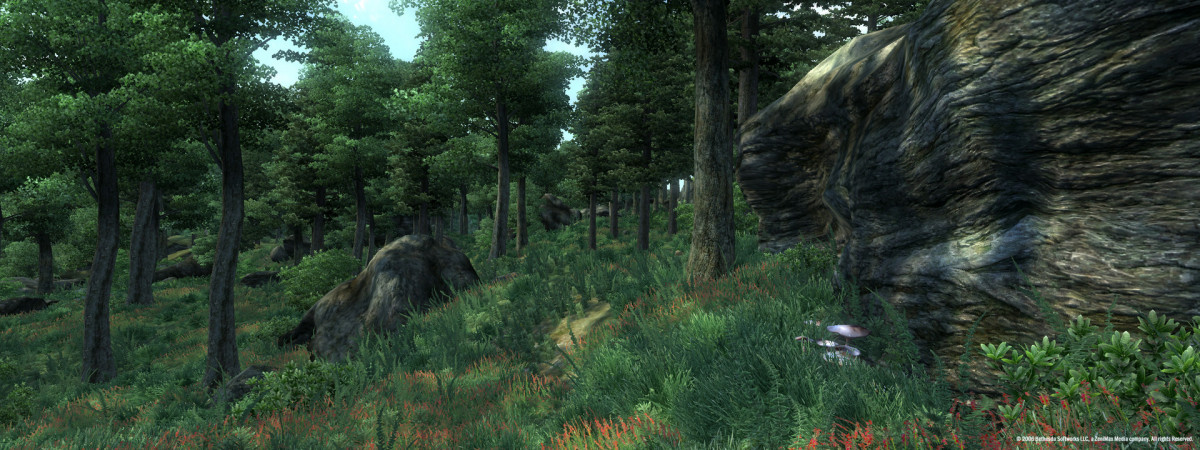The Elder Scrolls IV: Oblivion Game of the Year Deluxe (PC) DIGITÁLIS PC