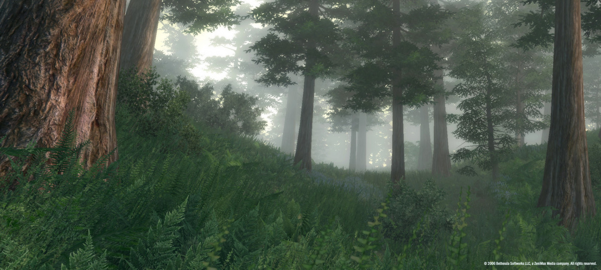 The Elder Scrolls IV: Oblivion Game of the Year Deluxe (PC) DIGITÁLIS PC