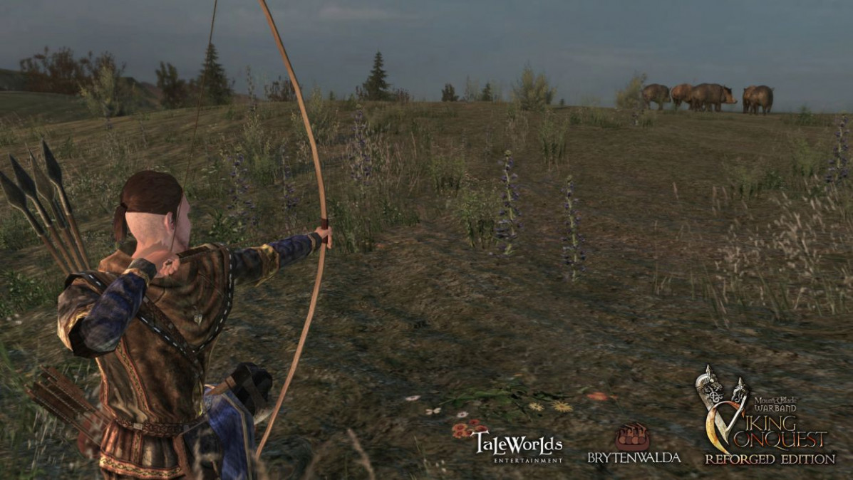Mount & Blade: Warband - Viking Conquest Reforged Edition (PC) (Letölthető) PC