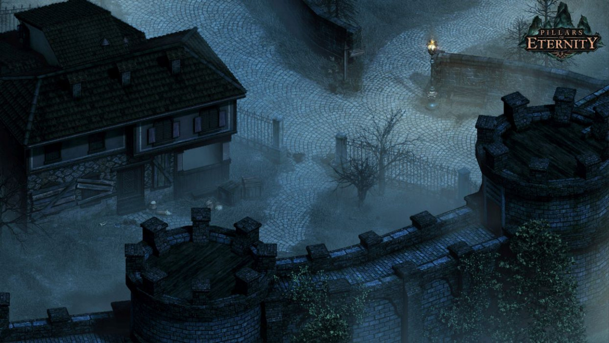 Pillars of Eternity: Hero Edition (PC) Letölthető PC