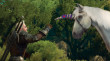 The Witcher III: Wild Hunt - Blood and Wine (PC) Letölthető thumbnail