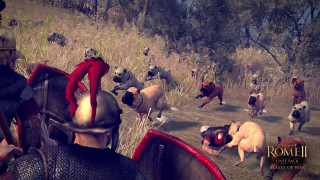 Total War: ROME II - Beasts of War (PC) DIGITÁLIS PC