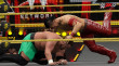 WWE 2K17 - Legends Pack (PC) DIGITÁLIS thumbnail
