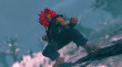 Street Fighter V - Season 2 Character Pass (PC) DIGITÁLIS thumbnail