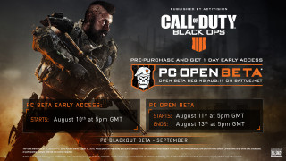 Call of Duty Black Ops IIII (4) PC