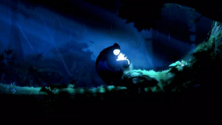 Ori and the Blind Forest Limited Edition PC