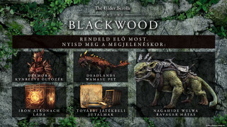 The Elder Scrolls Online Collection: Blackwood PC