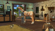 The Sims 4 - Horse Ranch (EP14) thumbnail